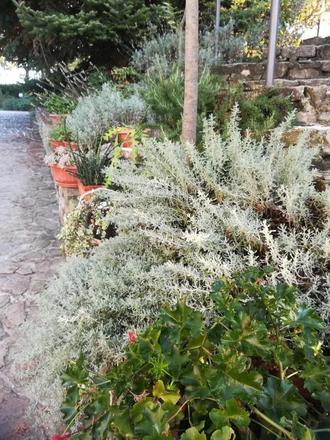 Вілла Agriturismo La Solagna Montebello di Bertona Екстер'єр фото
